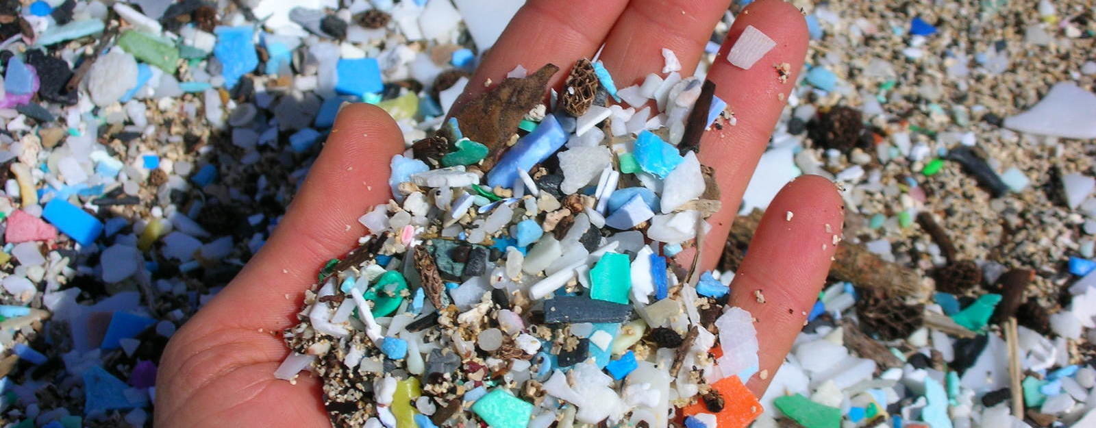 micro-plastics in hand
